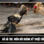 Đá Gà Tre - Màn Đối Kháng Kỹ Thuật Đỉnh Cao Tại VIN88