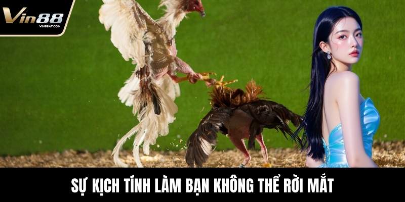 Sự kịch tính làm bạn không thể rời mắt