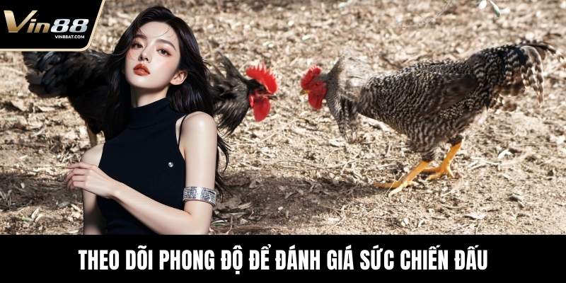 Theo dõi phong độ để đánh giá sức chiến đấu